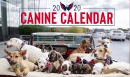 The 2020 Caps Canine Calendar is here and ready for you to purchase The 2020 Caps Canine Calendar is here and ready for you to purchase
