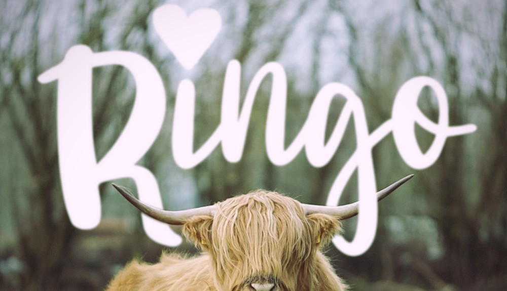 Peter’s new album, Ringo, is out now on streaming sites