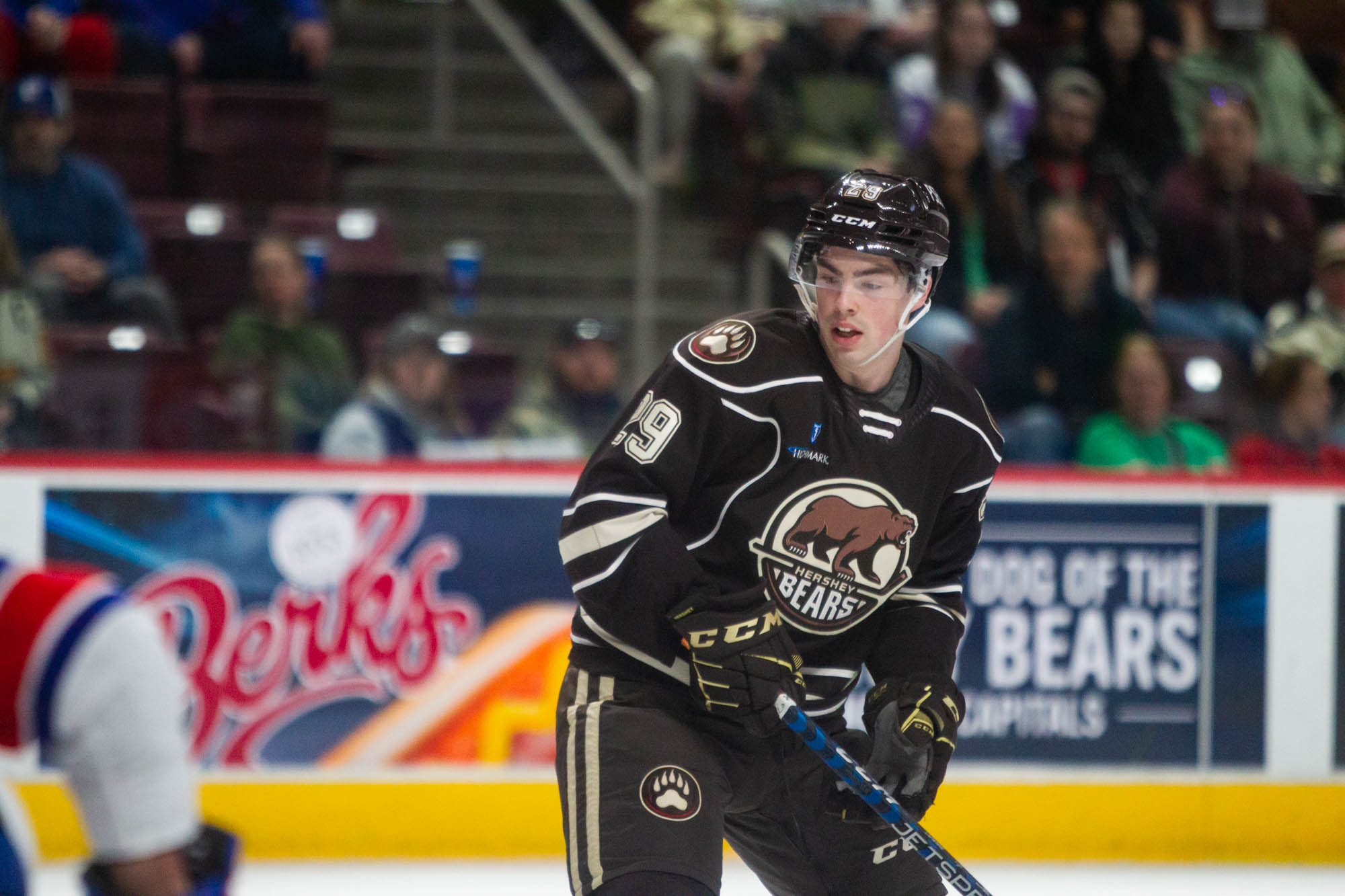 The Hershey Bears' lines and pairings to begin the 2024 Calder Cup playoffs - Vimarsana News