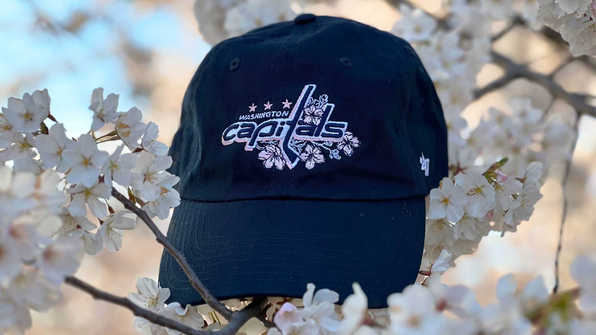 How to buy the Washington Capitals’ new cherry blossom merchandise