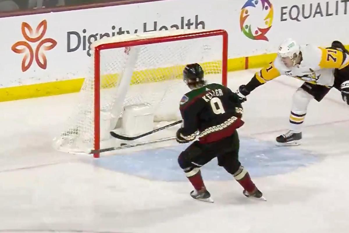 The Pittsburgh Penguins scored on themselves during a delayed penalty call 😂