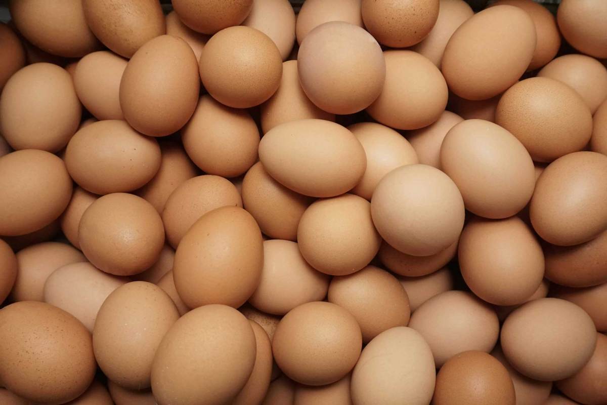 The Caps go through how many eggs on game days? - Vimarsana News