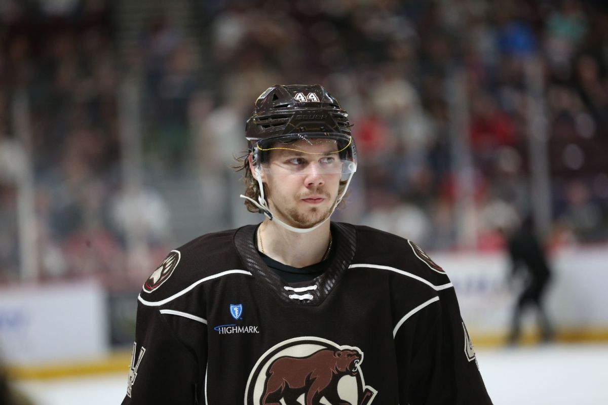 Hershey Bears just miss out on history with 4-1 loss to Charlotte Checkers - Vimarsana News