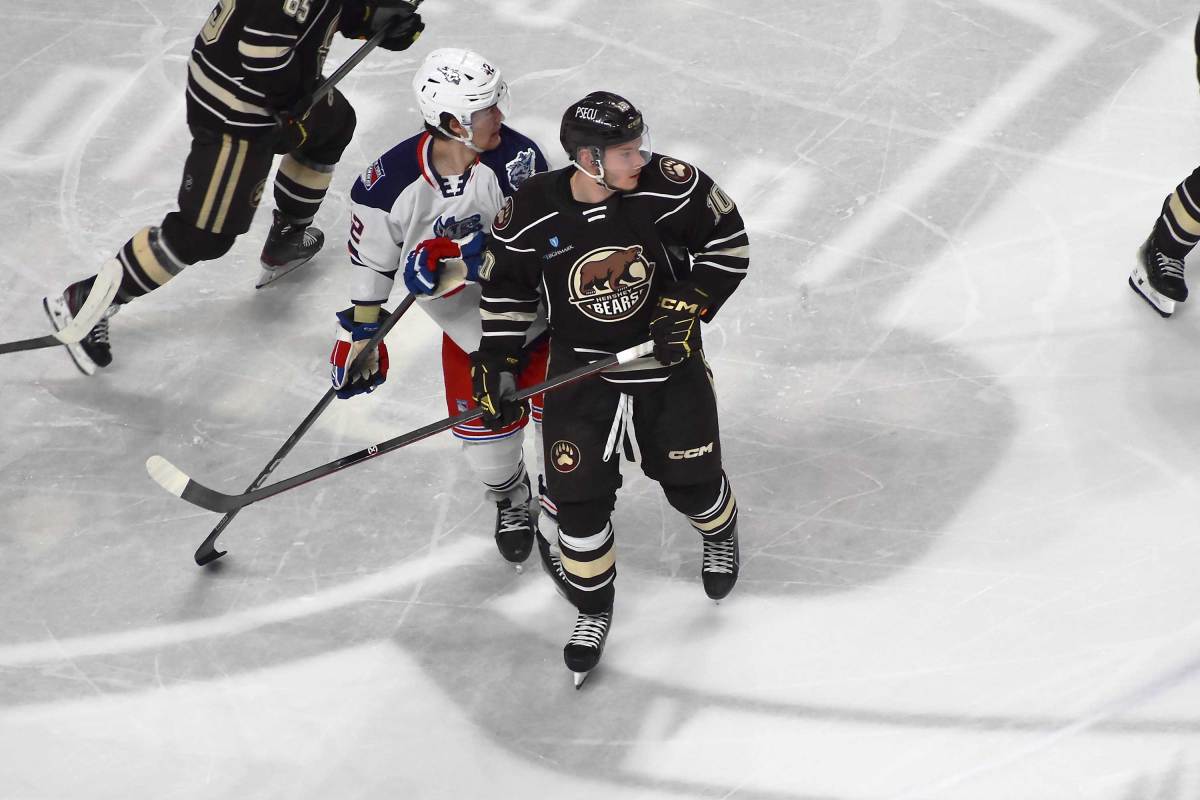 Open Thread: Hershey Bears vs Hartford Wolf Pack – Round 3, Game 3 - Vimarsana News
